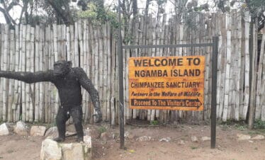 Welcome to Ngamba Island
