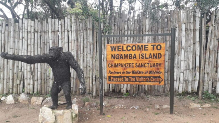 Welcome to Ngamba Island