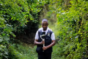 A tour guide walks along a lush green forest trail on Bushara Island, Lake Bunyonyi, holding a smartphone gimbal stabiliser, wearing a Tours & Safaris branded vest.