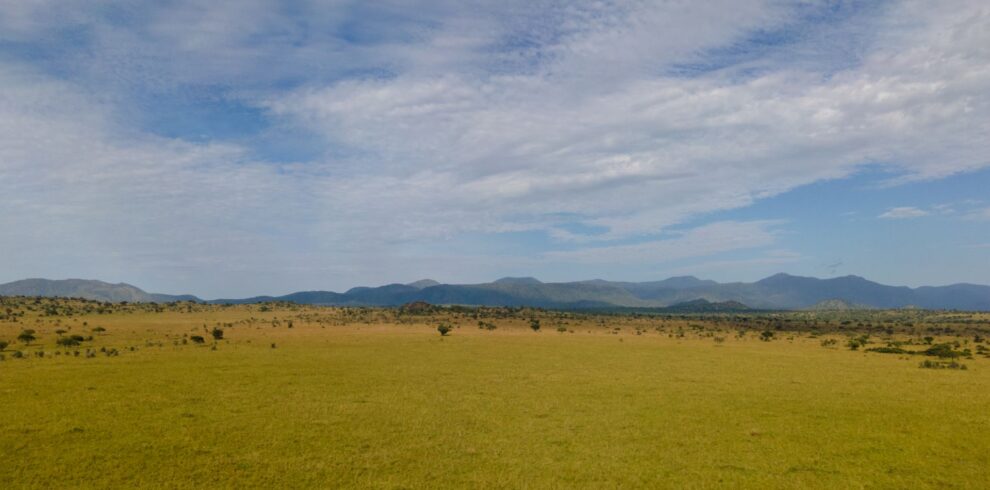Wide view of the Narus valley and mountains in Kidepo Valley National Park