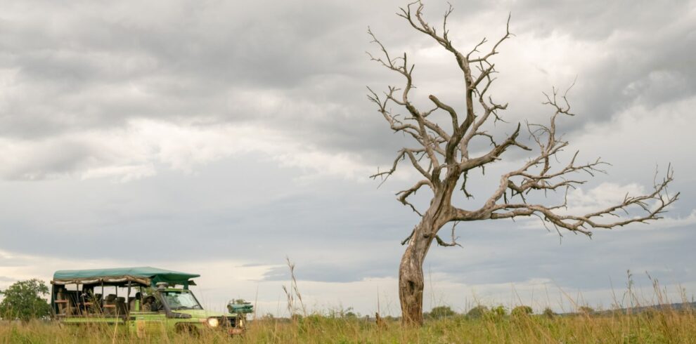 A safari vehicle beside a large dead tree under a stormy sky in Kidepo Valley National Park, Uganda