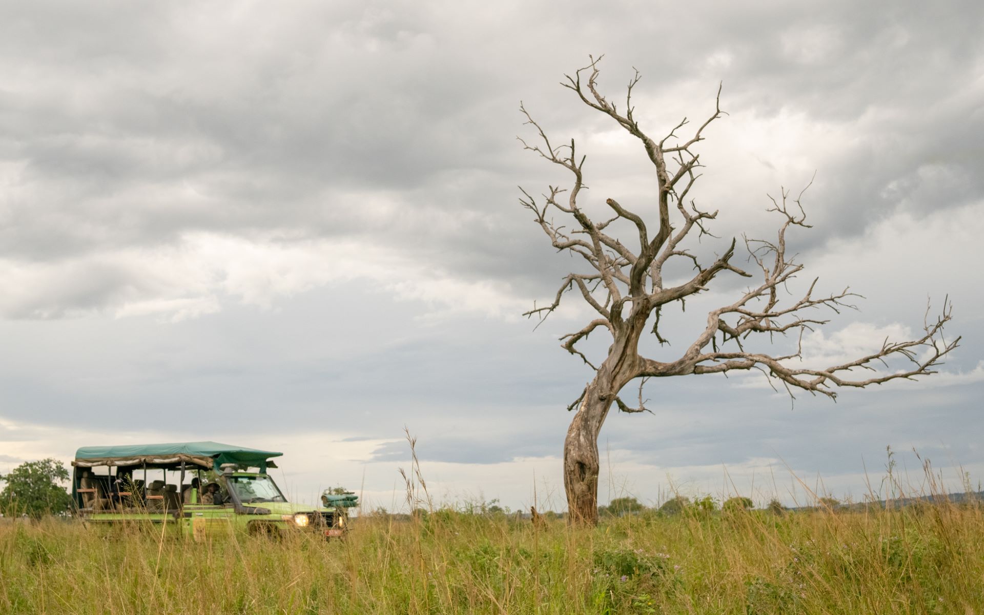 A safari vehicle beside a large dead tree under a stormy sky in Kidepo Valley National Park, Uganda