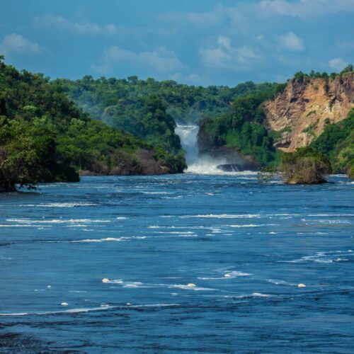 Murchison Falls pouring through a green gorge, seen from the wide river Nile, Uganda